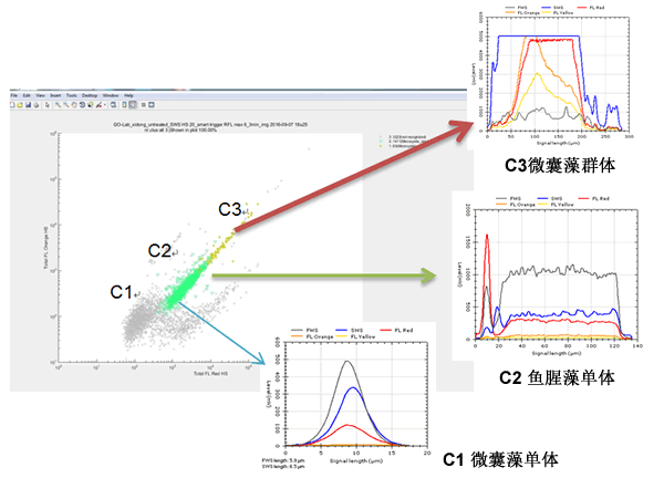 CytoSense藻類(lèi)在線(xiàn)系統(tǒng)120h高頻次無(wú)故障運(yùn)行實(shí)驗(yàn)效果圖.gif