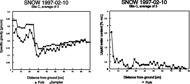 Snow Fork05.jpg